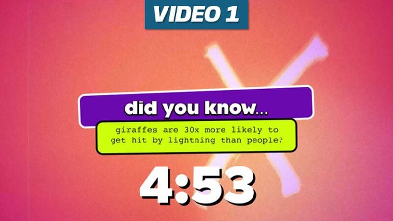 Fun Facts Countdown 4-Pack